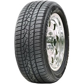 205/50 R16 Delinte AW5 87V